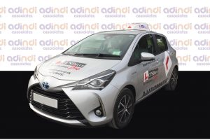 adindi dual-controlled cars